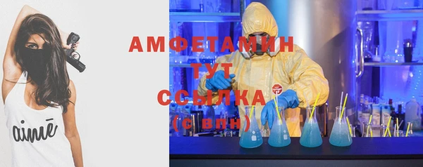 шишки Покачи