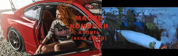 прущий лед Бикин