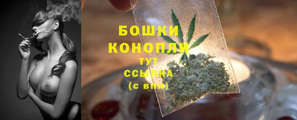 шишки Покачи