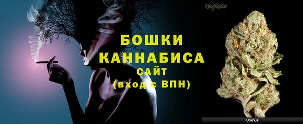 шишки Покачи