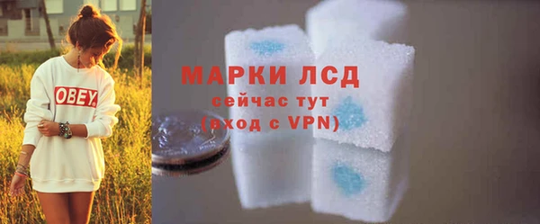 прущий лед Бикин