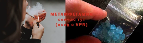 шишки Пионерский