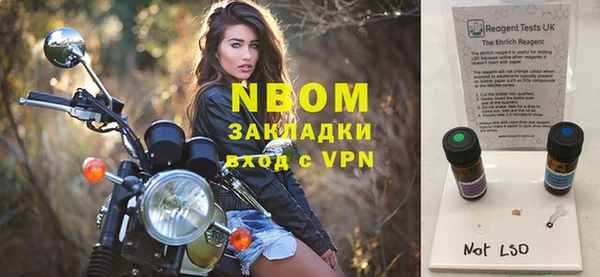 шишки Покачи