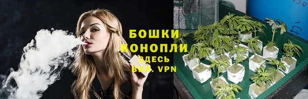 шишки Покачи