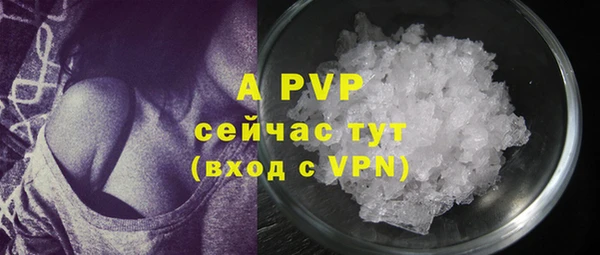 прущий лед Бикин