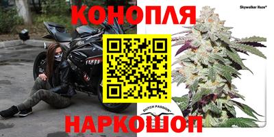 прущий лед Гай