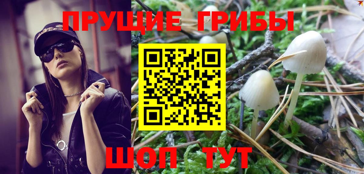 Старая Купавна  Псилоцибиновые грибы GOLDEN TEACHER  Вход с VPN 